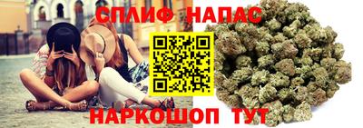 тгк Новокубанск