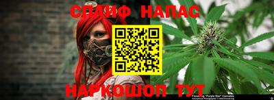 дмт Новодвинск