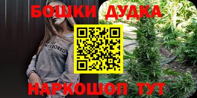 тгк Новокубанск